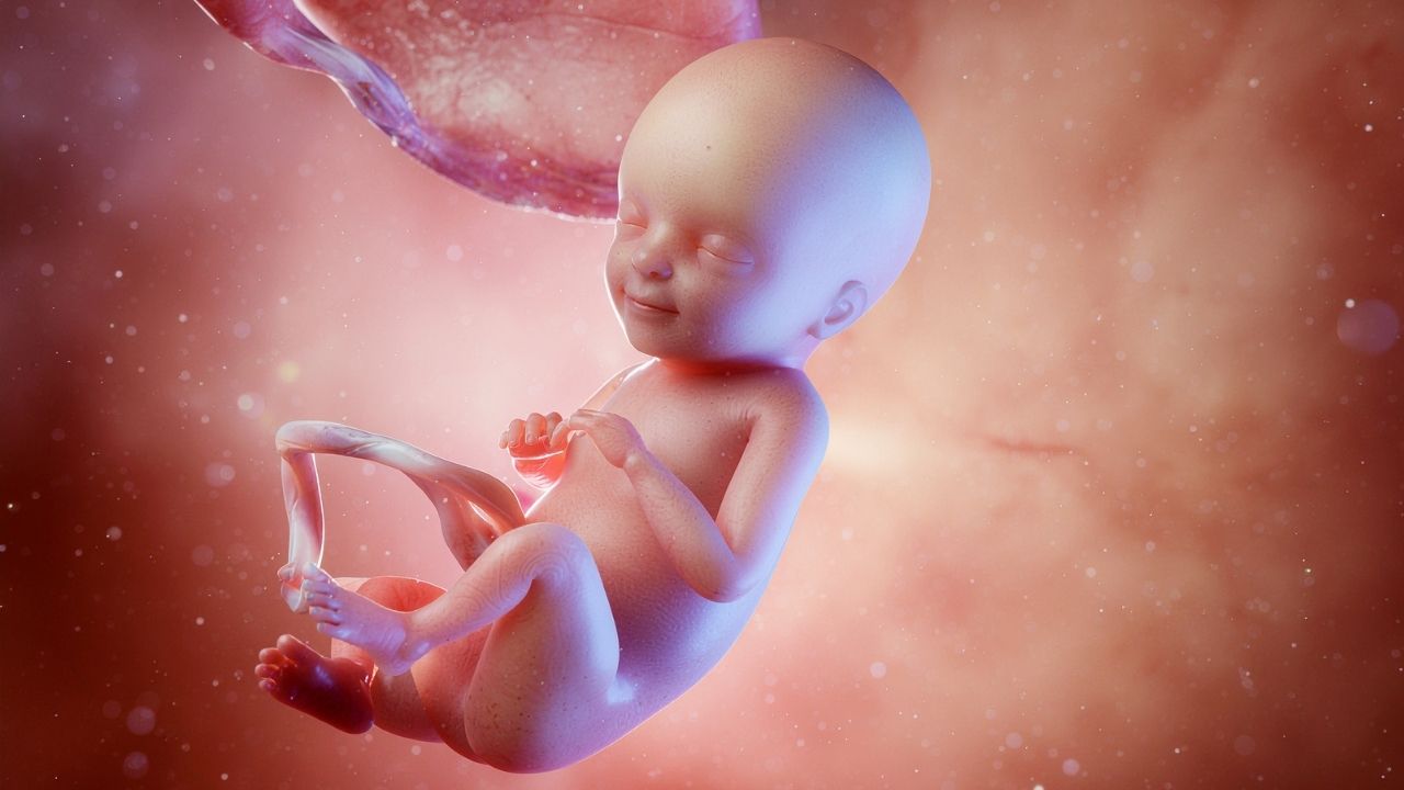 bebe » Risale-i Nur Rububiyet nedir?